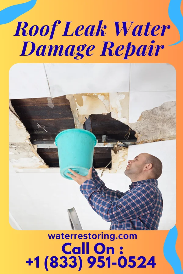 Roof Leak Water Damage Repair in Oliver, WI